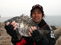 春本番！瀬戸内海のチヌに挑む！.jpg